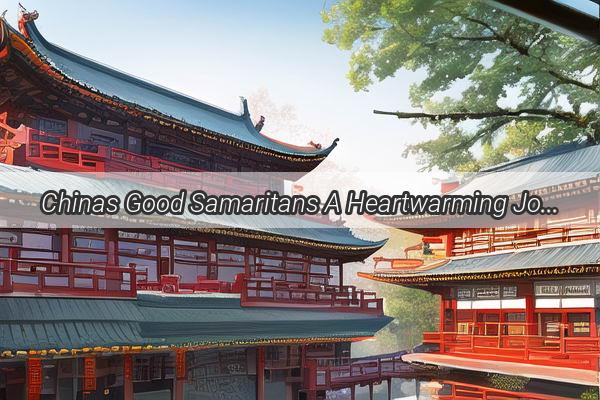 Chinas Good Samaritans A Heartwarming Journey of Compassion and Courage in The Good People